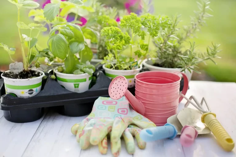 5 Lições de Jardinagem Urbana para Educadores e Alunos